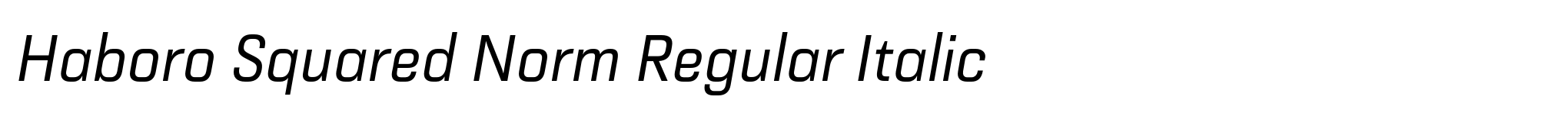 Haboro Squared Norm Regular Italic image